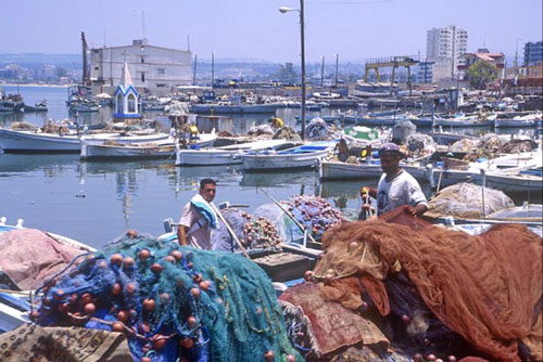 Tyre Fishing Boats.jpg